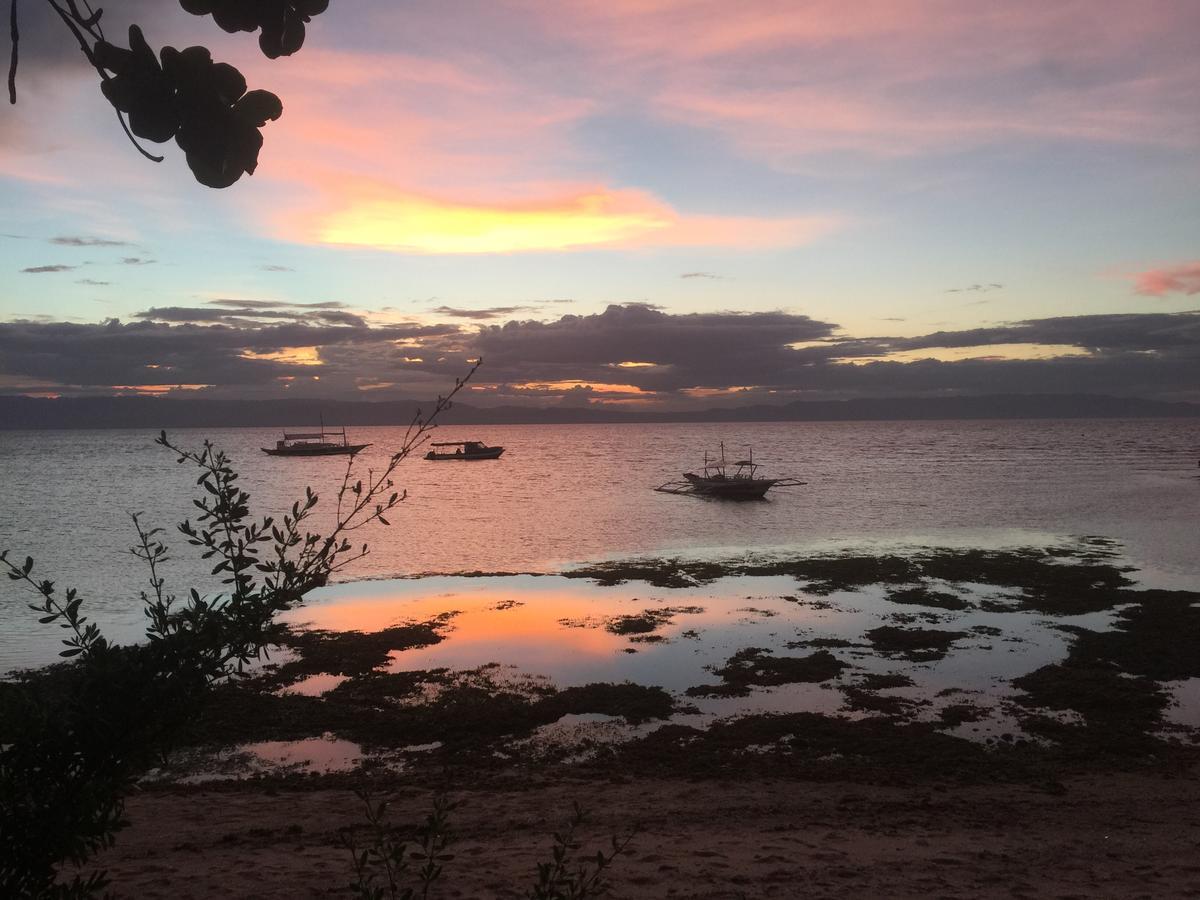 La Estrella Beach Resort & Cabilao Dive Center Loon Экстерьер фото